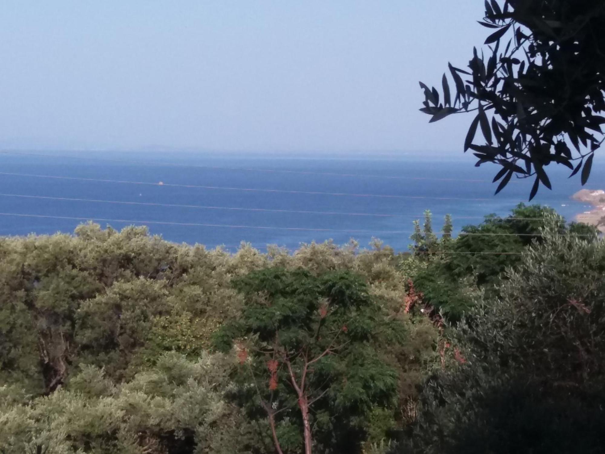 Belvedere Zakynthos Studios Vasilikí Rum bild