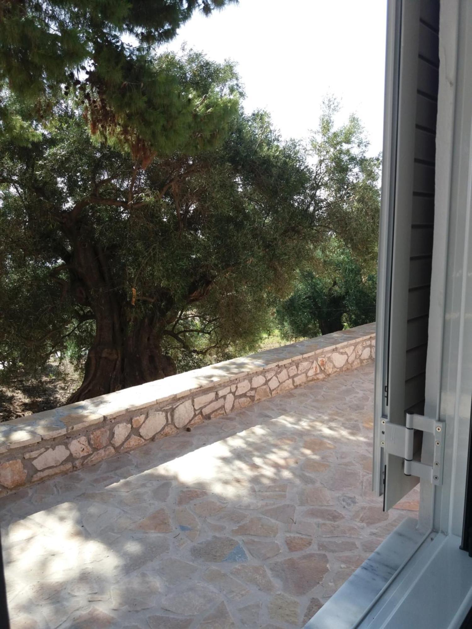 Belvedere Zakynthos Studios Vasilikí Rum bild